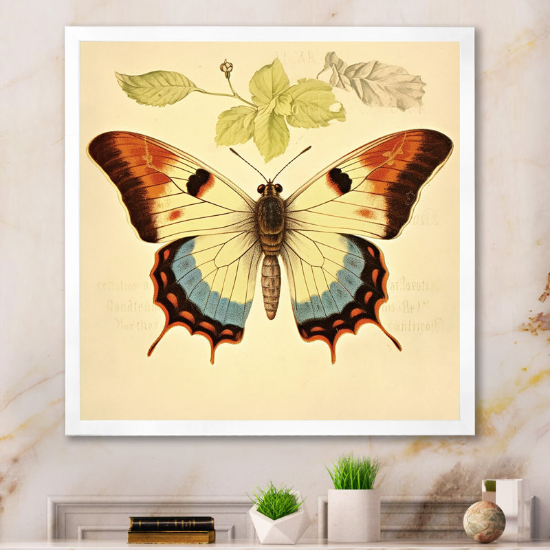 Illustration rétro d'un papillon élégant I, H 16 po x l 16 po x P 1 po, Cadre simple blanc