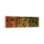 Arboreal II by Chris Donovan - Panoramic Print on Canvas-671205200-701399952