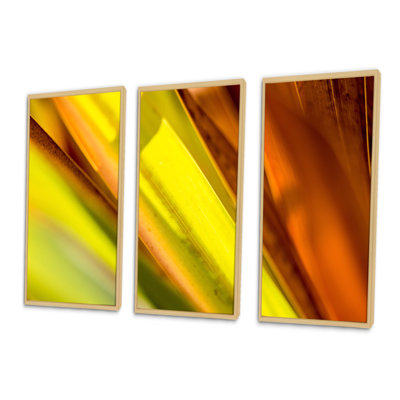 «Light Green and Orange Sunshine», reproduction de cadre flottant sur toile 3 pièces