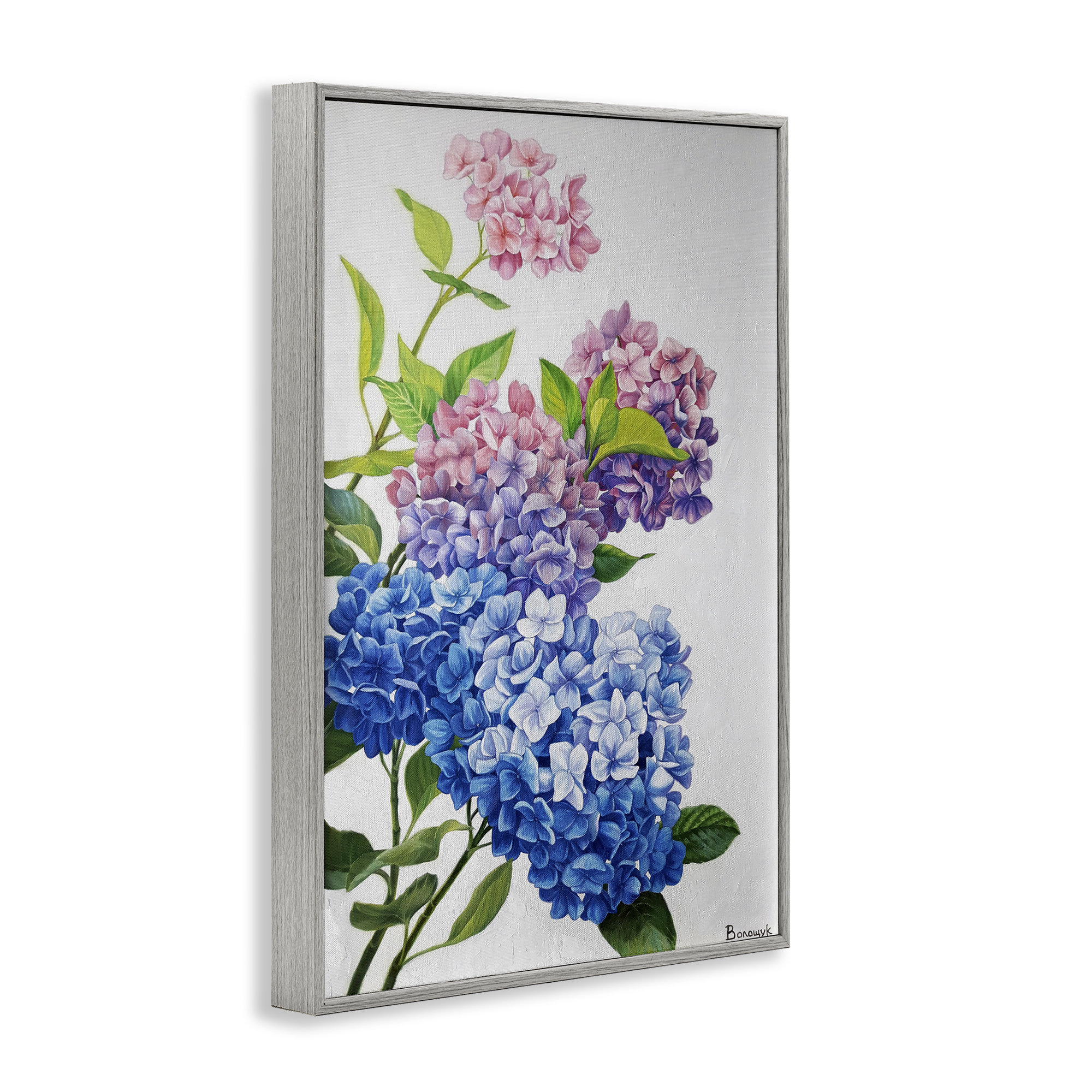 Stupell Industries Detailed Hydrangea Gradient Art by Myroslava ...
