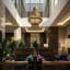 Domo 8 - Light Chandelier