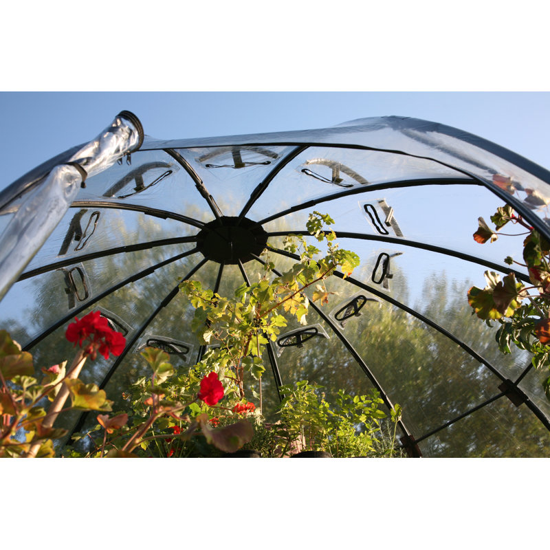 Large Clear PVC and Fiberglass Walk-In Greenhouse