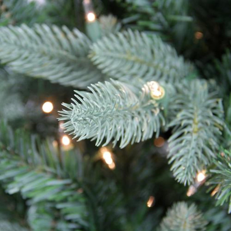 Arbre de Noël artificiel pré-éclairé Washington Frasier, H 9 pi
