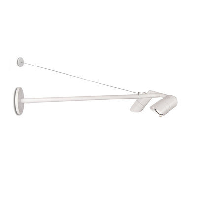 Endurance™ Aluminum LED Wall Light