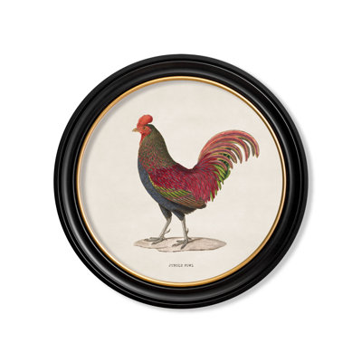 Junglefowl Left Facing by Mid-1800s - Single Picture Frame Print on Archival Matt 230gsm Paper