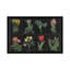 «Botanical Chart I», impression sur toile tendue-1520943706-1602983421-1602983422