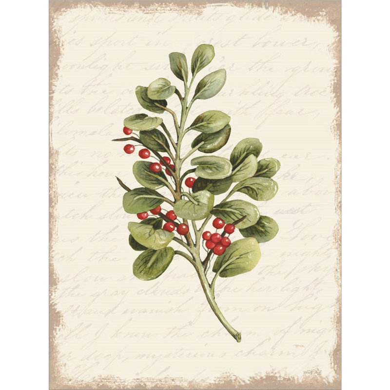 «Berries Christmas Botanical» par Cindy Jacobs - impression encadrée