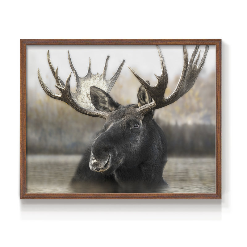 Moose Spa - reproduction encadrée - réarmable, H 11 po x l 14 po, Noyer
