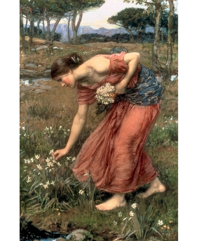 Narcisse, H 24 po x l 16 po