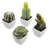 4 - Piece Artificial Succulent in Pot Set