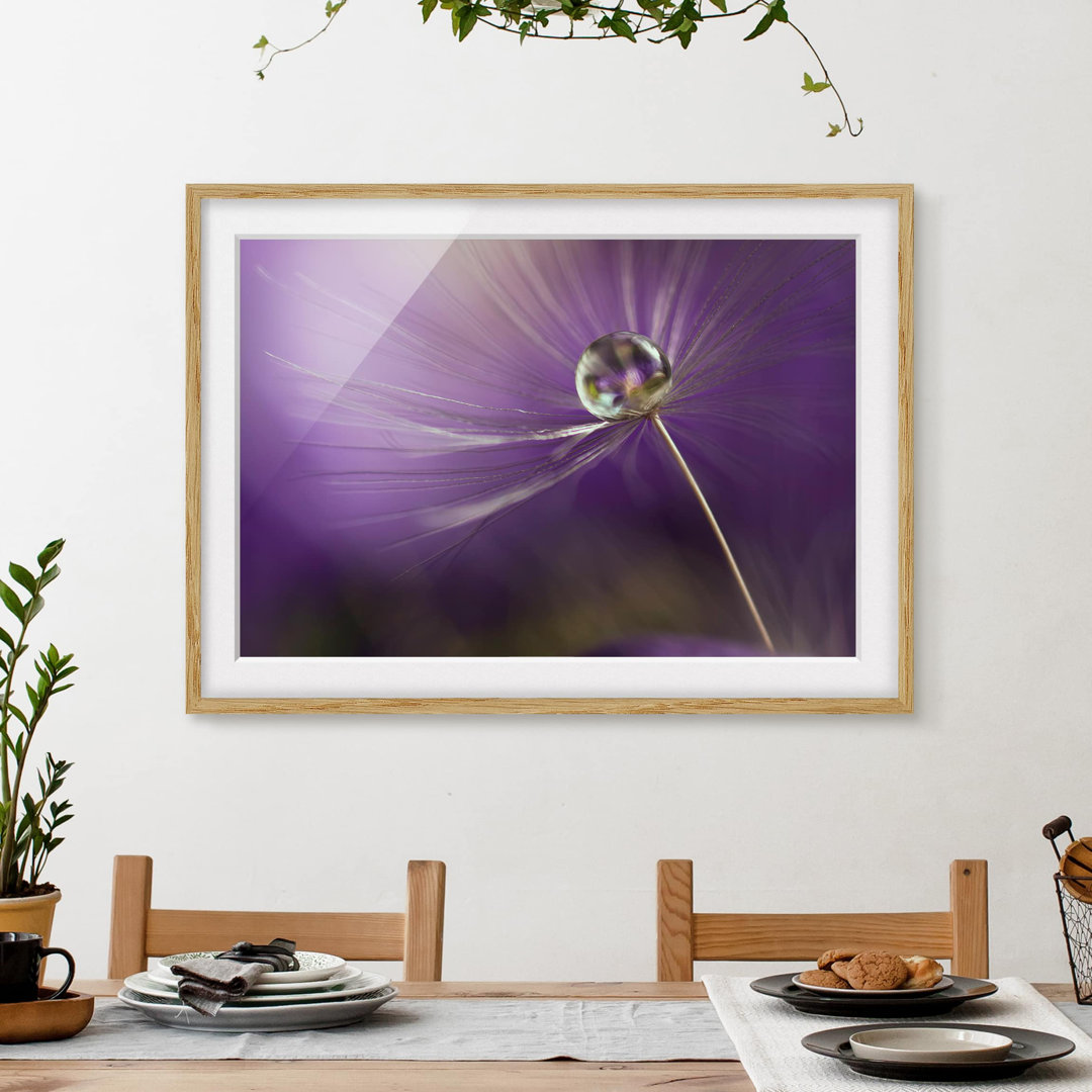 Gerahmter Kunstdruck Dandelion