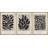 " Papier Decoupe Collection French Retro Art Decor Flower Plants " by Henri Matisse 3 - Pieces-71203605-71203602