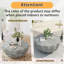 Table basse imperméable 35,43 po moderne pour l'extérieur et l'intérieur, conception durable en ciment Mgo-1696184218