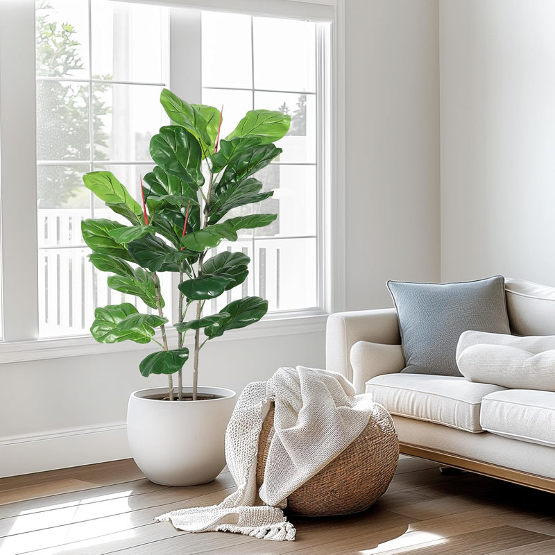 99cm Plant