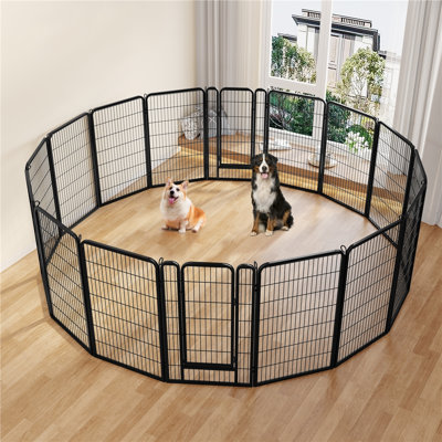 Enclos d'exercice pour chien