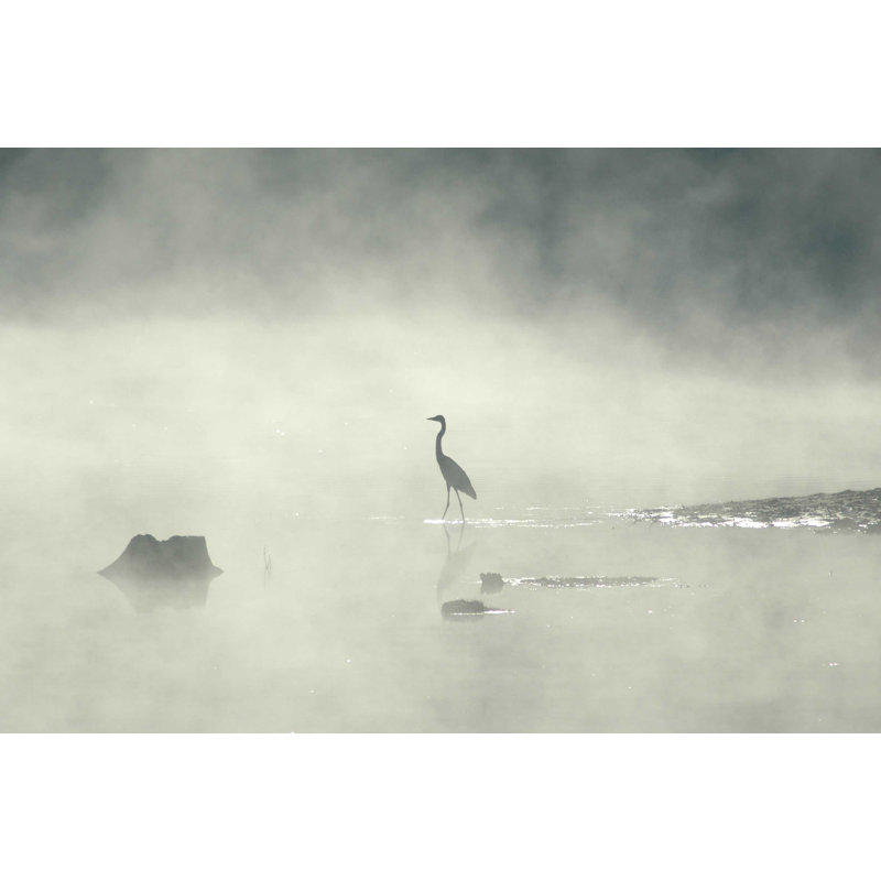 Décalcomanie murale brouillard, 16 po x 24 po