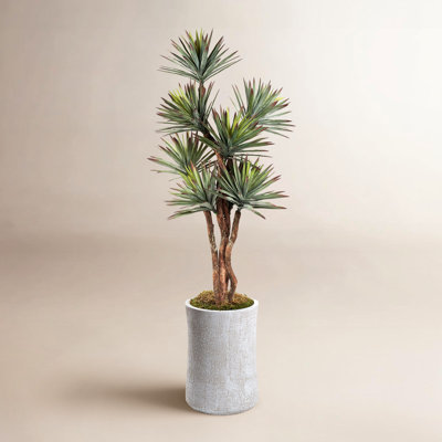 96" Agave Tree in Planter