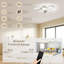 28.5cm Ceiling Fan with LED Lights-1941041246