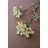  Artificial Lace Flower Spray 34"L – White Textured Botanical Stem, Set of 6