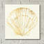 «Coastal Breeze Shell Sketches 5» par Anne Tavoletti, art mural en verre acrylique-721250516