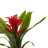 Bromeliad Bush Silk Flowers-24745657