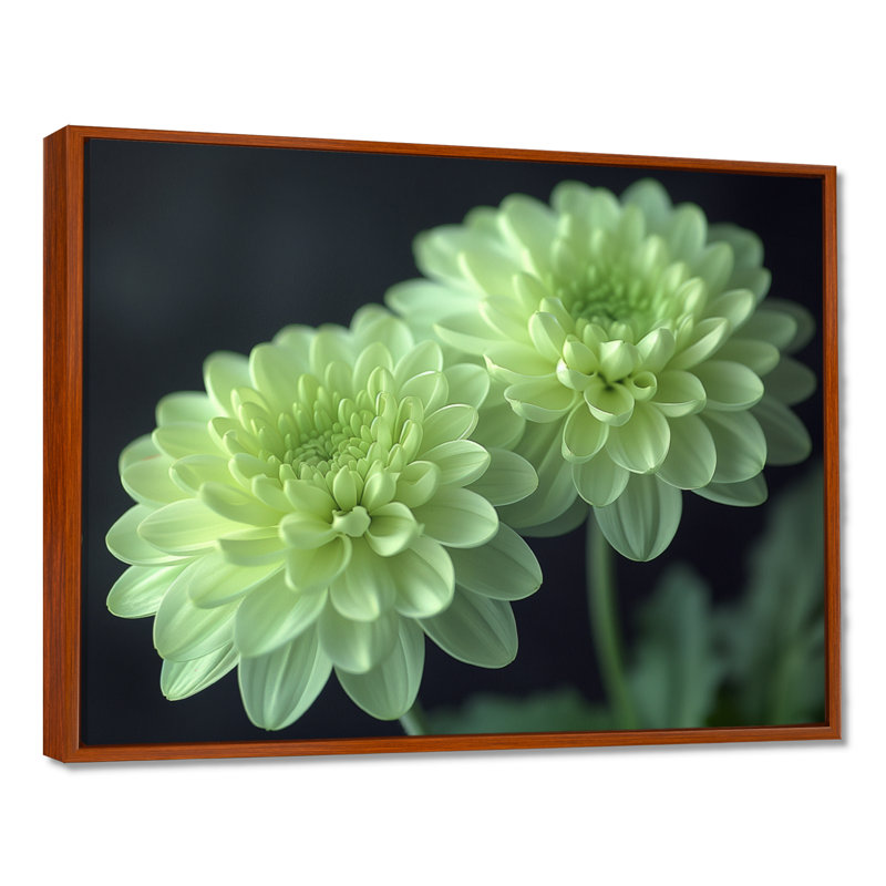 «Green Monochrom Mums Flowers Bouquet I», art mural «Mums», Cadre flottant brun, bois massif, H 16 po x l 32 po x P 1 po