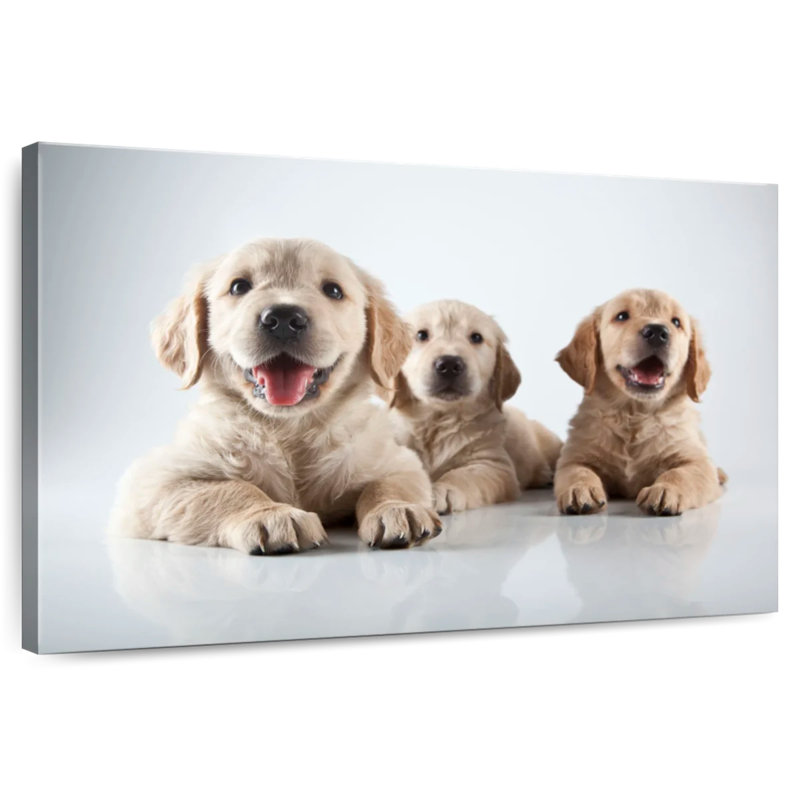 Golden Retriever Pups, 8" H x 12" W