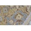 Ziegler Wool Oriental Area Rug