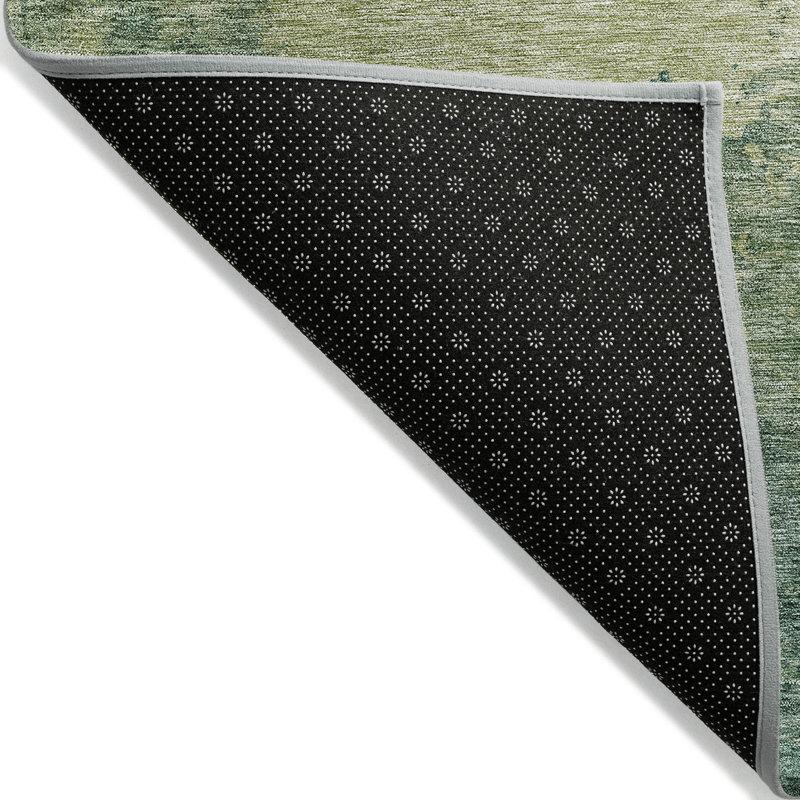 Cicel Indoor/Outdoor Machine Washable ACN1138 - Green, Rectangle 8 pi x 10 pi