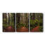 «Forest Path I», ensemble de 3 toiles tendues-89944451