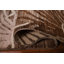 Tapis Gabbeh 5 x 6