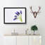 Grape Hyacinth Flower - Single Picture Frame Print on MDF-56713138-56713139