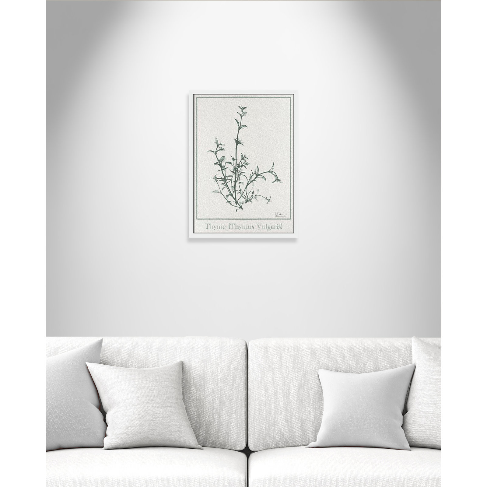 Jeanette "Thymus Vulgaris" Print, 23" H x 17" W x 1.25" D, White Framed Paper