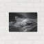  «Siren's Song 3 B&W» par Rick Berk, 16 po x 12 po