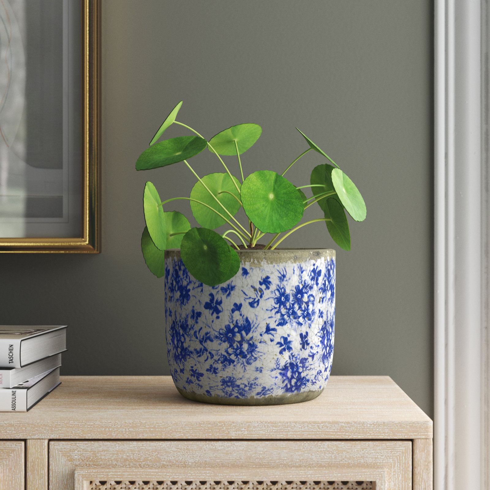 8" Terracotta Pot Planter