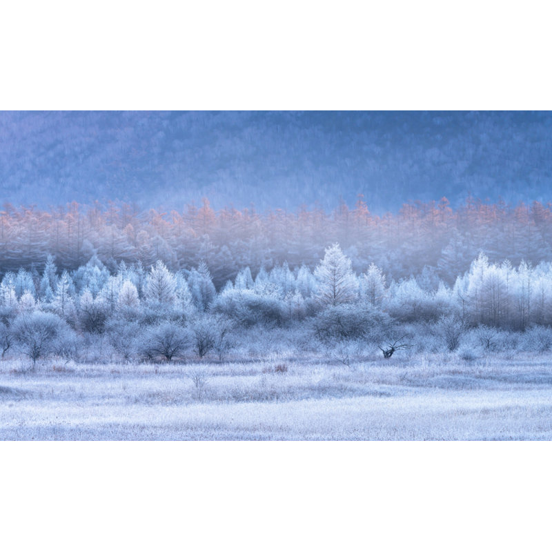 Wrapped Canvas Print, 50.8 cm H x 76.2 cm W