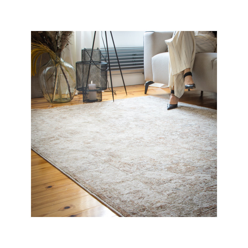 Everest Oriental Area Rug, Rectangle 60 x 110cm