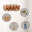 Portemanteau mural-1203946746