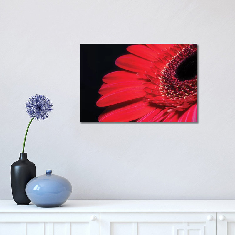 Red Gerbera Flower - Wrapped Canvas Print, 30.48cm H x 45.72cm W x 1.905cm D