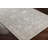 Everly Oriental Indoor Rug-663854555