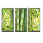 Tiges de bambou vert vif - ensemble d'art mural sur toile transitionnel encadré de 3-111757572-112027849