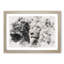 Portrait Of A Proud Lion - Single Picture Frame Print on MDF-56892353-56892354