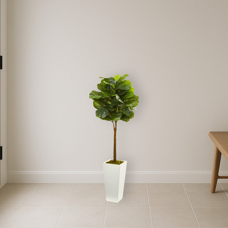 Fiddle Leaf Tree in White Tower Planter