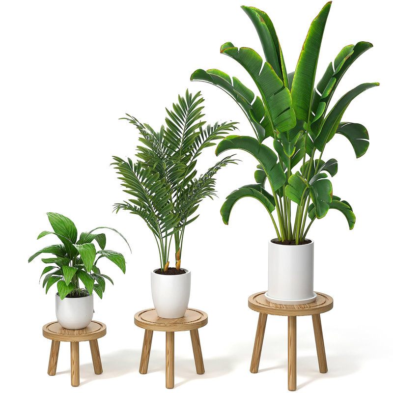 Paquet de 3 supports à plantes d'intérieur en bois, Chêne bruni clair