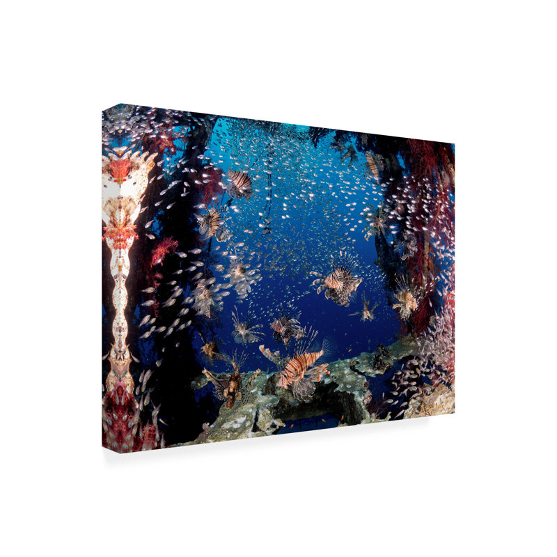 Art sur toile Ilan Ben Tov, H 14 po x l 19 po