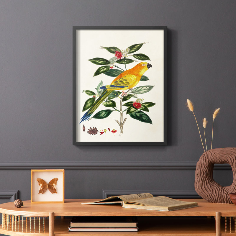 Bird in Habitat V, reproduction encadrée - bois massif, Noir, H 10 po x l 8 po