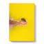 Ladybird - Wrapped Canvas-55365896