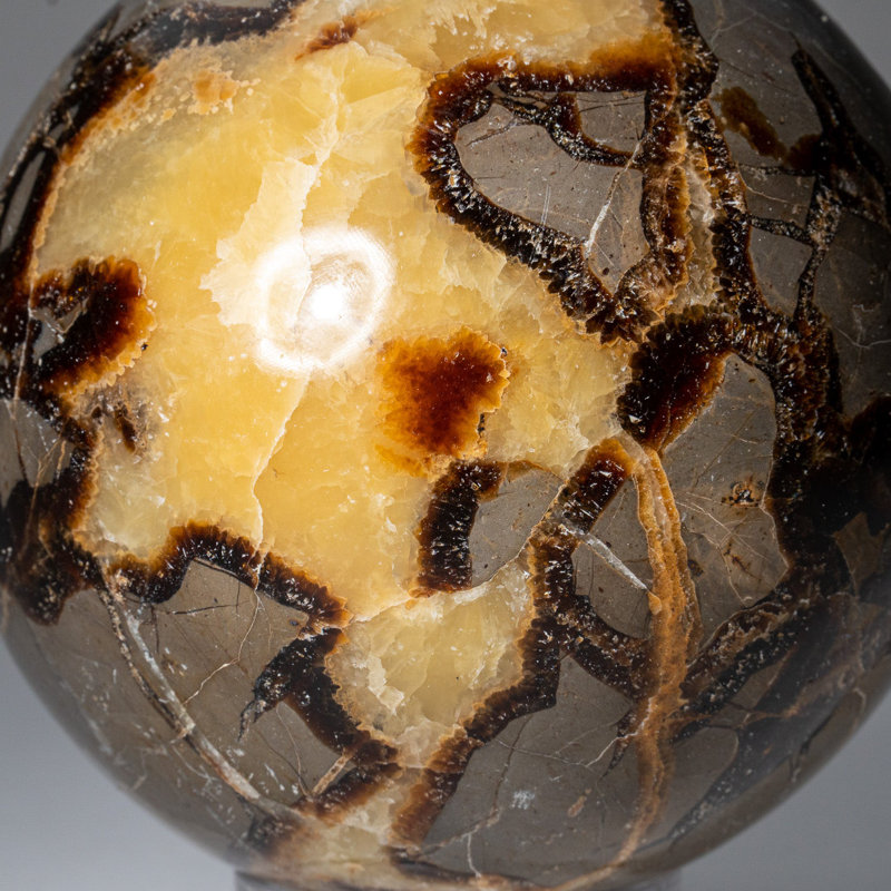 Genuine Polished Septarian (2") Sphere from Madagascar, 3.75" H x 3.75" W x 3.75" D, Yellow Calcite/Brown Aragonite/Gray