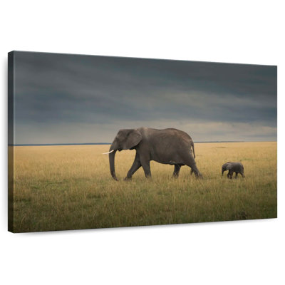 Éléphant Brampt dans un champ de savane