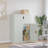 Maeven 35.4'' Wide 2 - Shelf Storage Cabinet